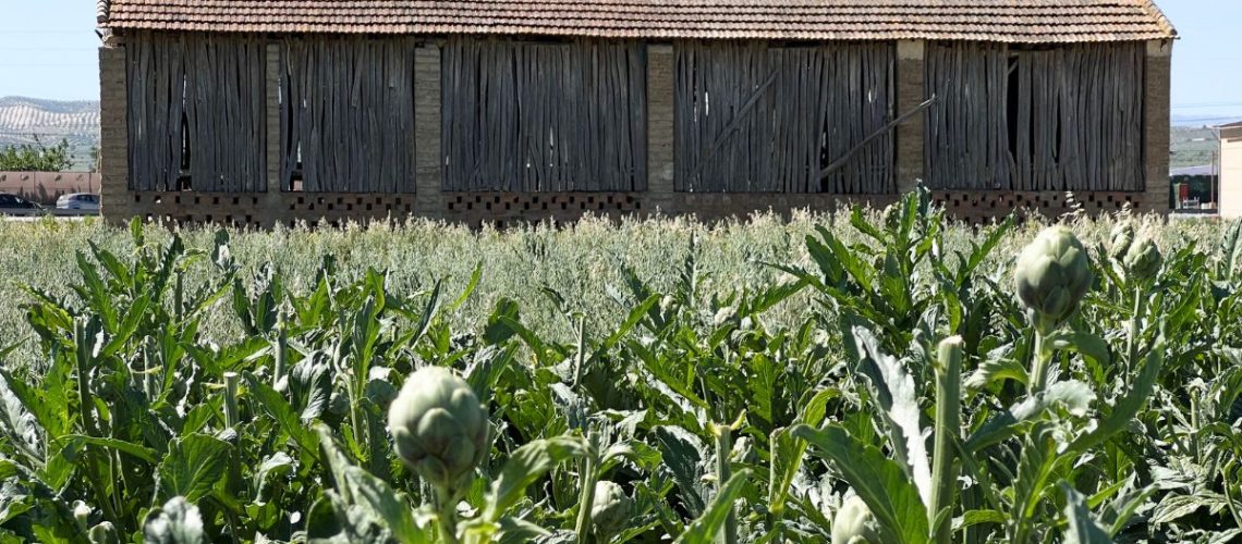Nuevas entidades Marca Calidad Territorial La Vega de Granada