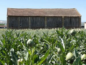 Nuevas entidades Marca Calidad Territorial La Vega de Granada